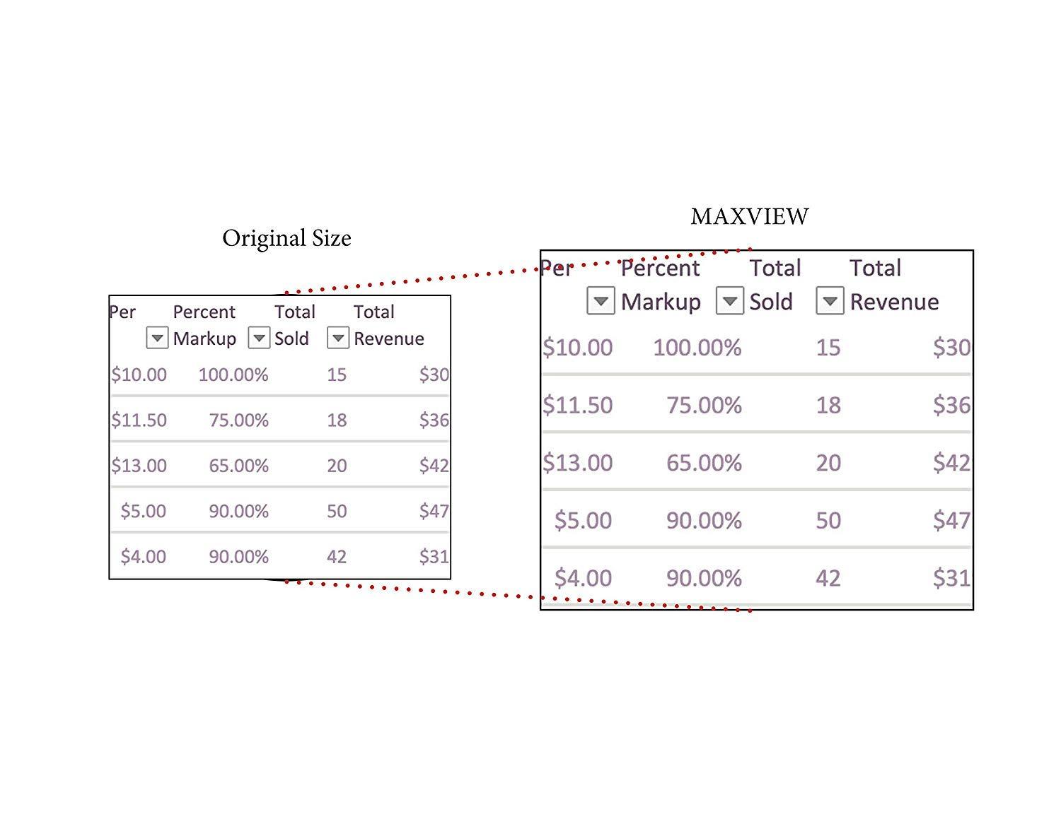 Kantek Kantek MAXVIEW LCD Monitor Magnifier for 15-Inch Monitors (Measured Diagonally) (MAG15L)