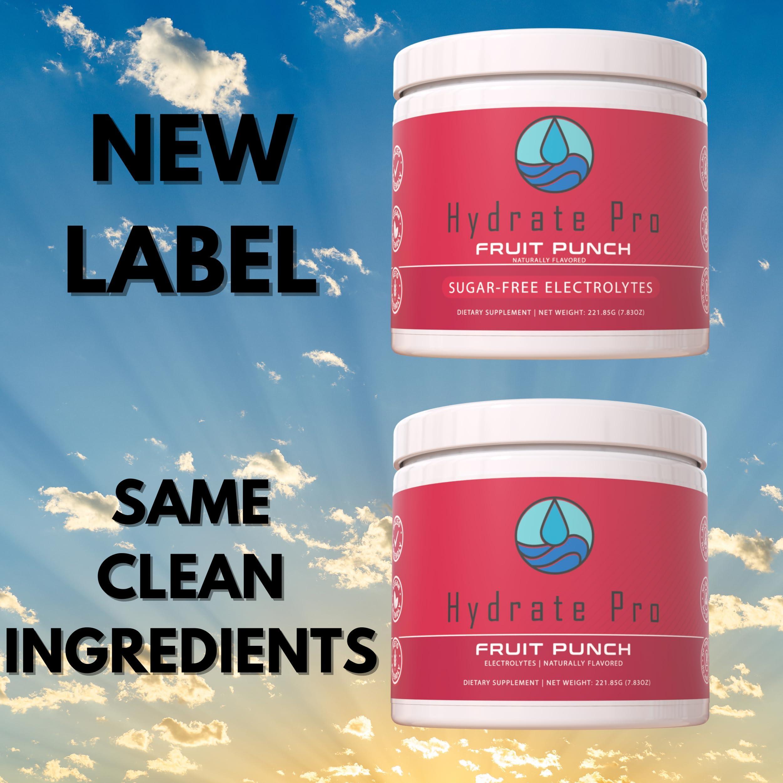 Hydrate Pro Hydrate Pro Sugar-Free Electrolyte Powder | 1000mg High-Sodium Electrolyte Complex | POTS Support & Keto Flu Prevention | 45 Servings Natural Hydration (Fruit Punch)