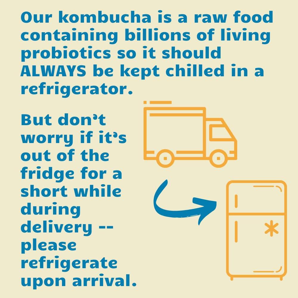 Bambucha Kombucha Bambucha Kombucha Variety 12 Pack Case | Chef Crafted Flavors, 100% Raw Kombucha Live Cultured Tea Drink | Organic, Vegan, Gluten Free, Non GMO, Probiotic (12 Fl Oz Cans)