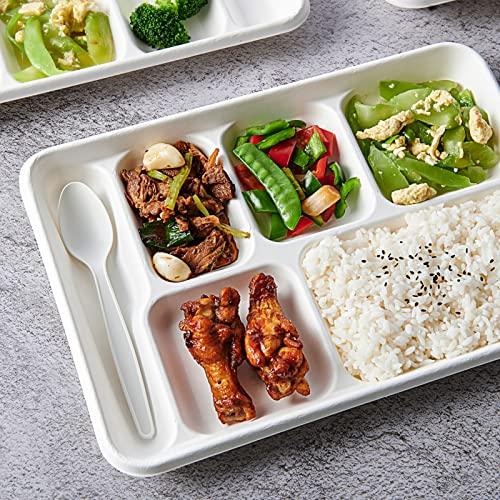 Vplus Vplus 100% Compostable 6 Compartment Plates, 90 Pack Compartment Paper Plate, 12.5 * 8.6 inch Disposable School Lunch Trays, Eco-Friendly Bagasse Plates for School Lunch, Buffet, and Party