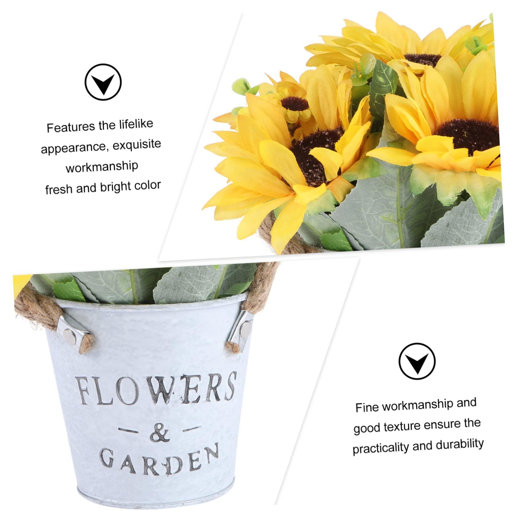 Florastor Florastor Family Probiotic Bundle - 100 ct. Probiotic for Digestive & Immune Health for Men & Women + 20 ct. Kids Daily Probiotic, Unflavored Powder Sticks - Boost Good Bacteria & Flush Out The Bad