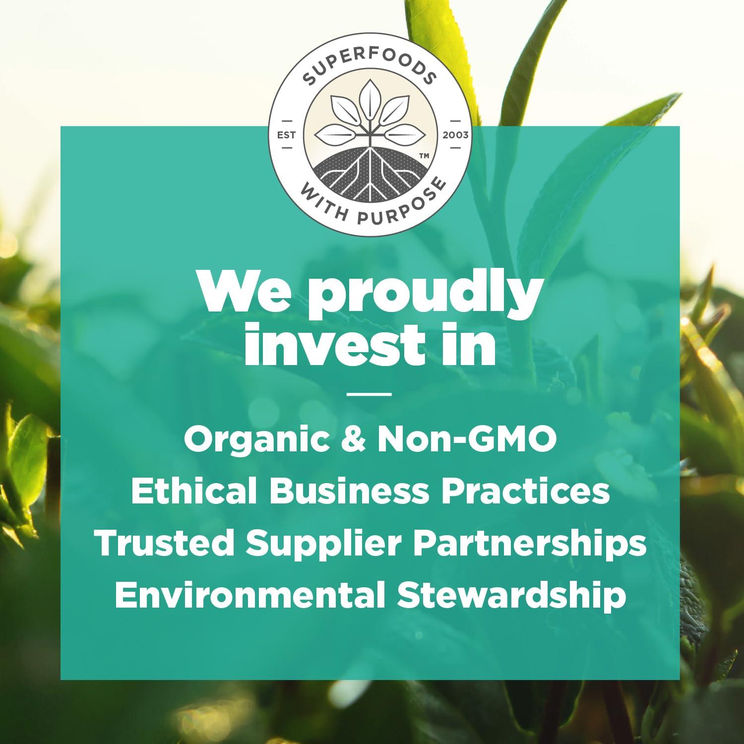 Navitas Organics Navitas Organics Matcha Latte, 11.1oz Value Size Bag, 35 Servings — Organic, Non-GMO, Dairy-Free