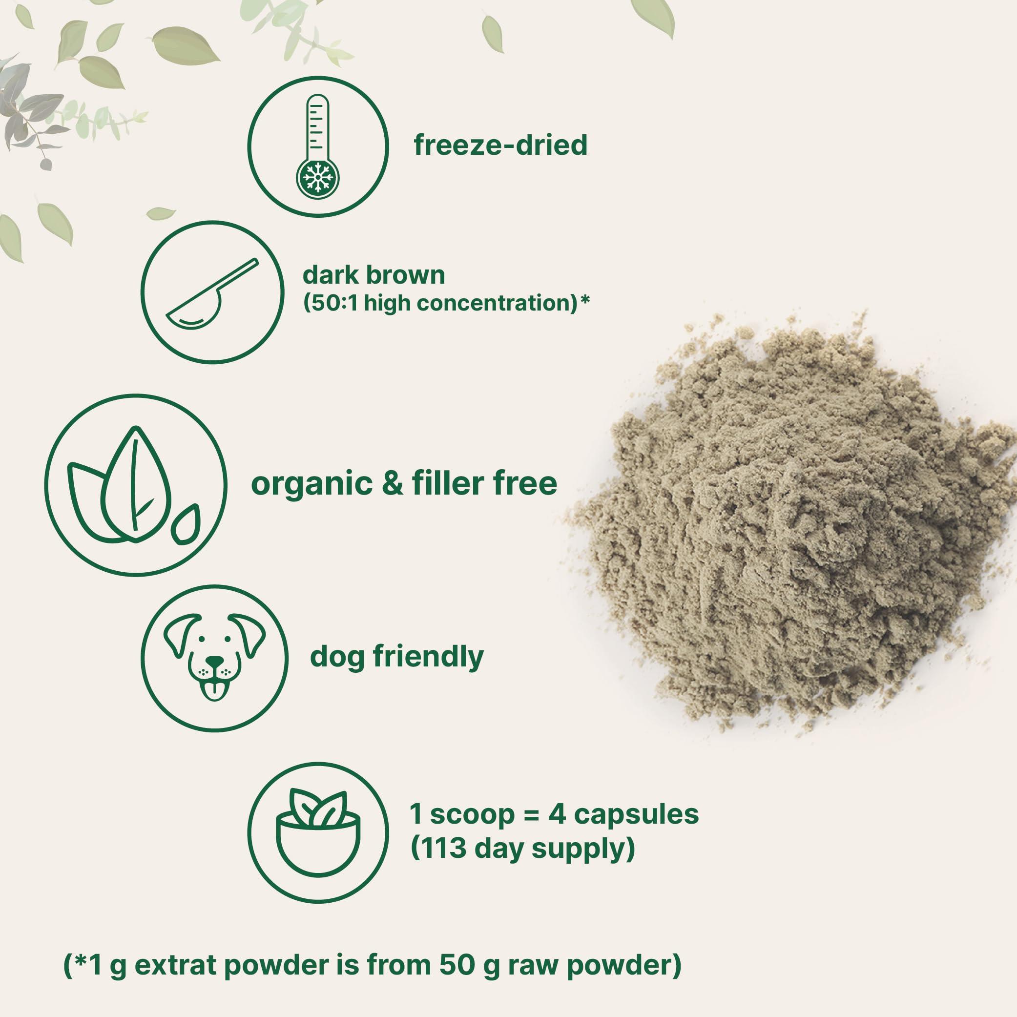 Micro Ingredients Micro Ingredients Organic Turkey Tail Mushroom Powder (50:1 Extract), 8 Ounce | Freeze Dried with Active Polysaccharides, Supports Immune Response & Cellular Level, Pet Friendly