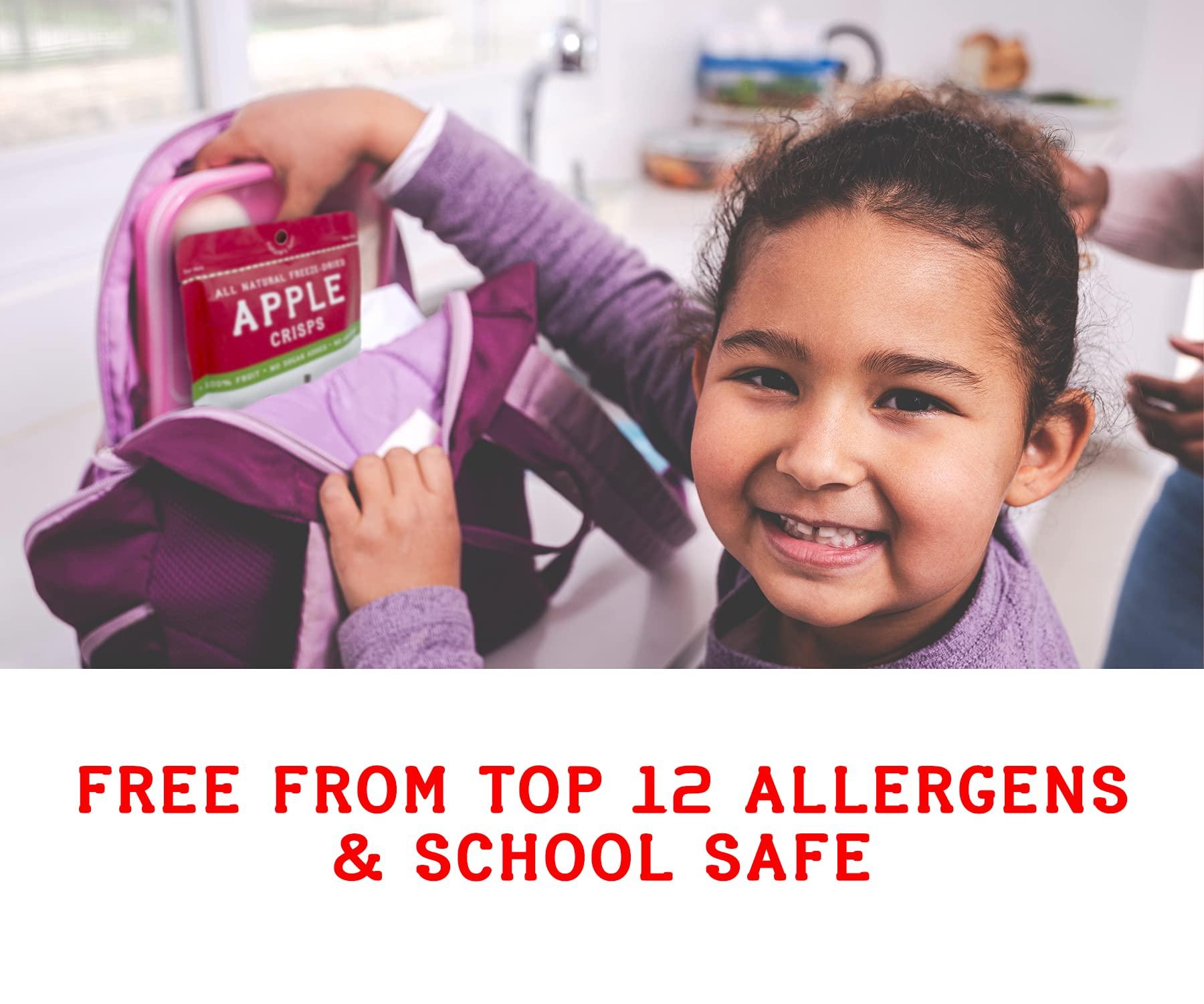 Nature's Turn Natures Turn Freeze-Dried Fruit Snacks, Pear Crisps, Pack of 12 (0.53 oz Each)