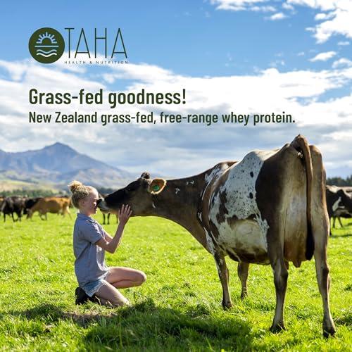 Taha Health & Nutrition Taha Health & Nutrition Chocolate Whey Protein Isolate Powder, 30g Protein, 7.9g BCAAs, 4.3g Leucine | New Zealand Free-Range, Grass-Fed Dairy | Gluten-Free, Keto, Kosher | 2LB, ~24 Servings