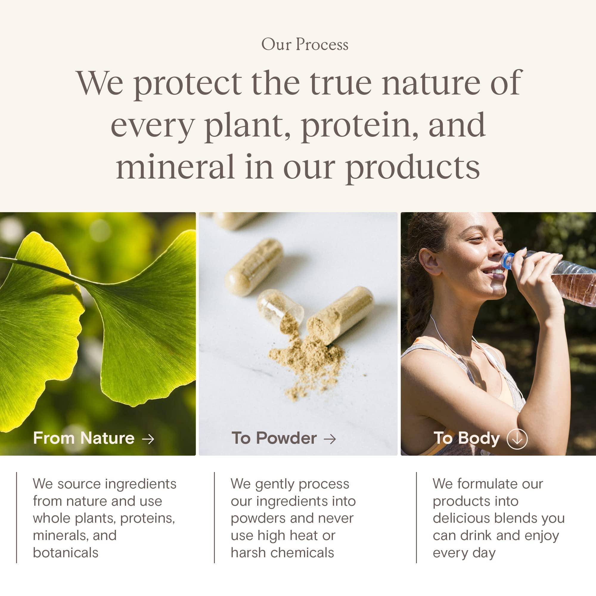 Yoli® Yoli® Enzyme - Digestive Enzymes - Gut Health Supplements for Women and Men - Digestion Supplement, 60 Count