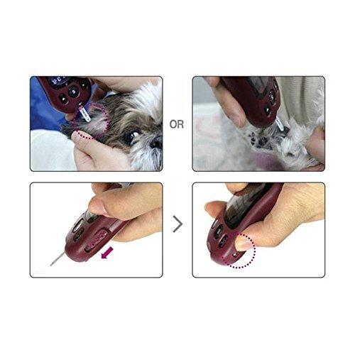isensecare Dog Cat Diabetic Blood Glucose Home Care Meter Glucose Monitor for Pet + Test Strip 50 Sheets