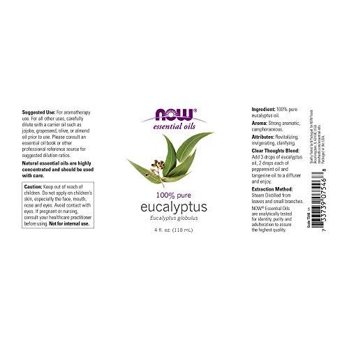 Now Foods NOW Foods Eucalyptus Globulus Oil, 4 Fluid Ounce