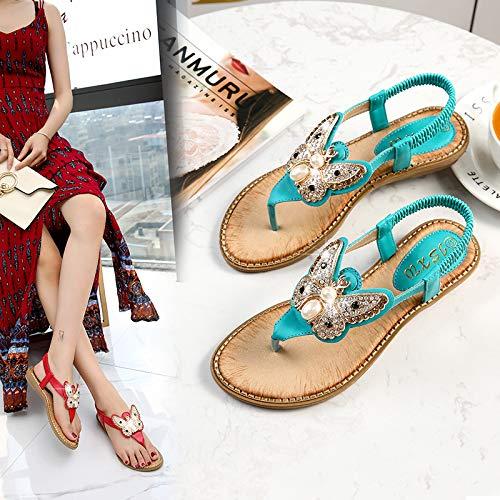 P Portland Syrups Portland Syrups Citrus-Passion Syrup - Craft Tropical Sensations for Cocktails, Mocktails, Soda, and More - 12 oz with 24 Servings (Pack of 2)