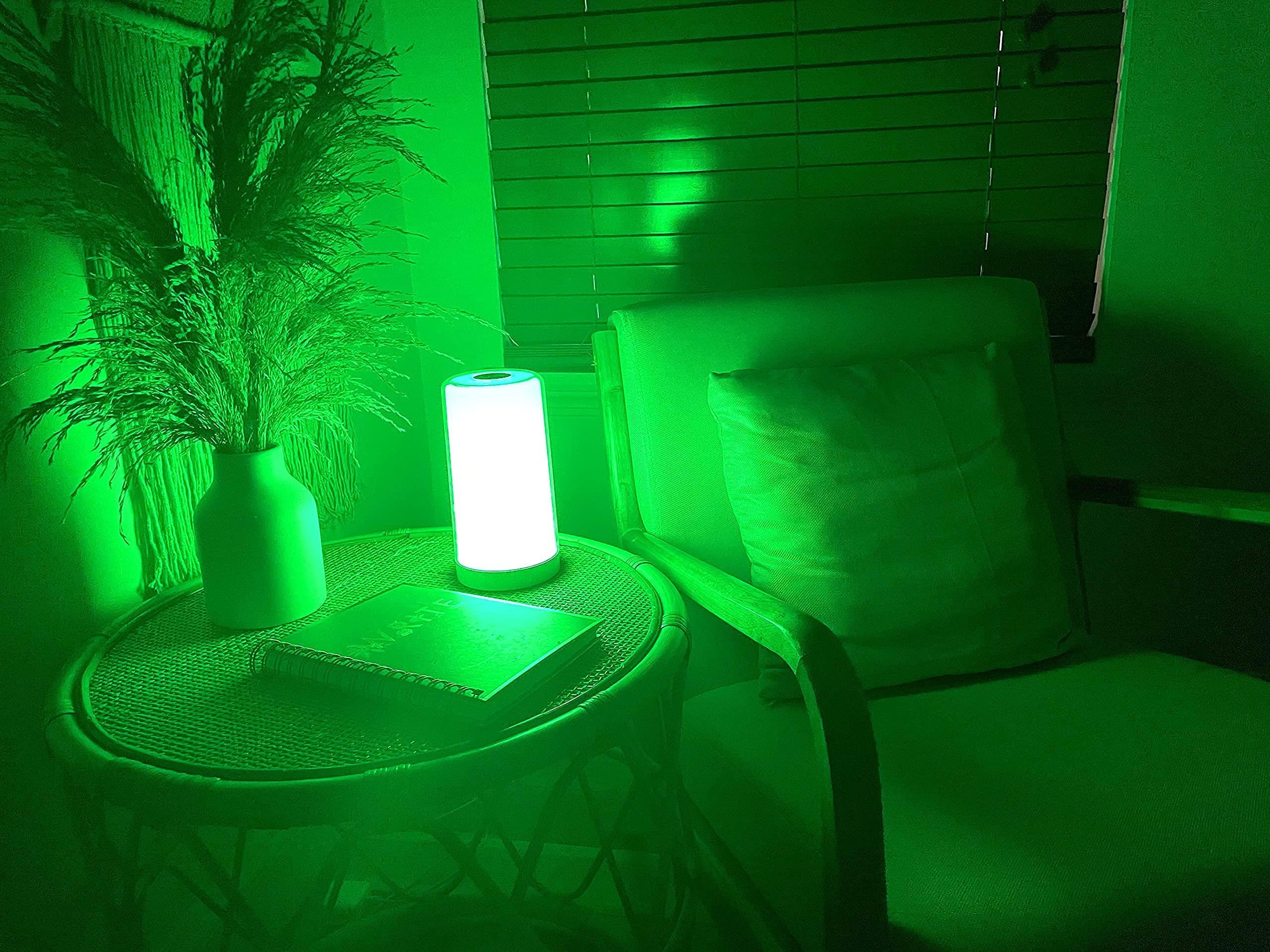 hooga Hooga Green Light Therapy Lamp for Migraines, Headaches, Insomnia, Light Sensitivity, Anxiety Relief. Narrow Band Green LEDs. Soft Warm White Mode. Tap Touch Control Sensor. Dimmable. USB Type C.