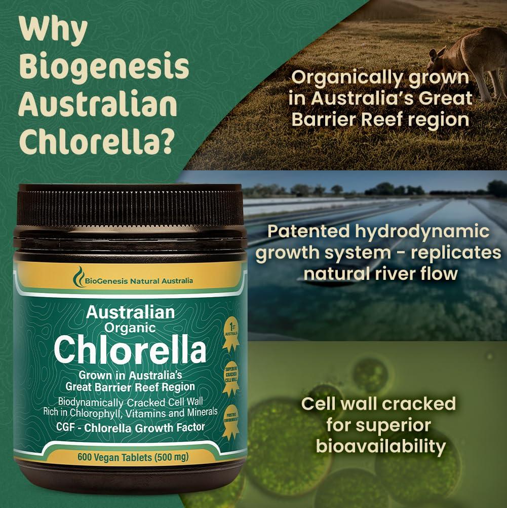 Biogenesis BioGenesis Chlorella Tablets, 600 Tablet Count (500mg)