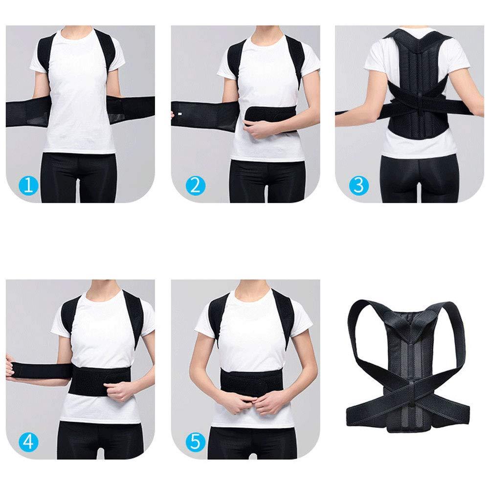 Loovit Back Brace Posture Corrector - Back Support Belt with Fully Adjustable Straps Relief Lower & Upper Back Pain, Improve Posture & Provides Lumbar Support - Fit for Men & Women (L)