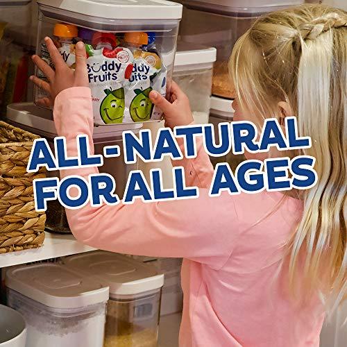 Buddy Fruits Buddy Fruits Snacks To Go Blueberry Unsweetened Applesauce 3.2oz Pouch (18pk) Gluten-Nut-Dairy-Preservatives-BPA Free, Non GMO, Kosher