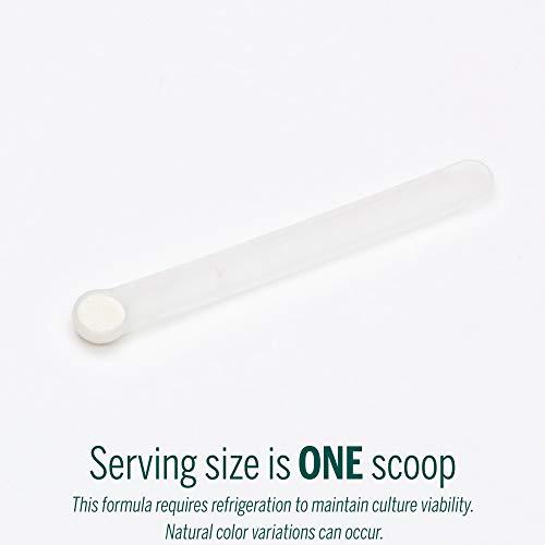 Genestra Brands Genestra Brands HMF Baby B | Probiotic Supplement for Breast Fed Babies | 0.2 Ounces