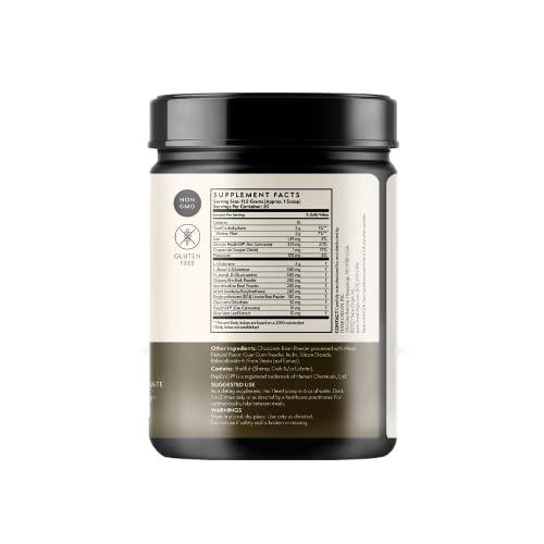 TERRA ORIGIN TERRA ORIGIN Healthy Gut Chocolate | 30-Servings with L-Glutamine, Zinc, Glucosamine, Slippery Elm Bark, Marshmallow Root and More!