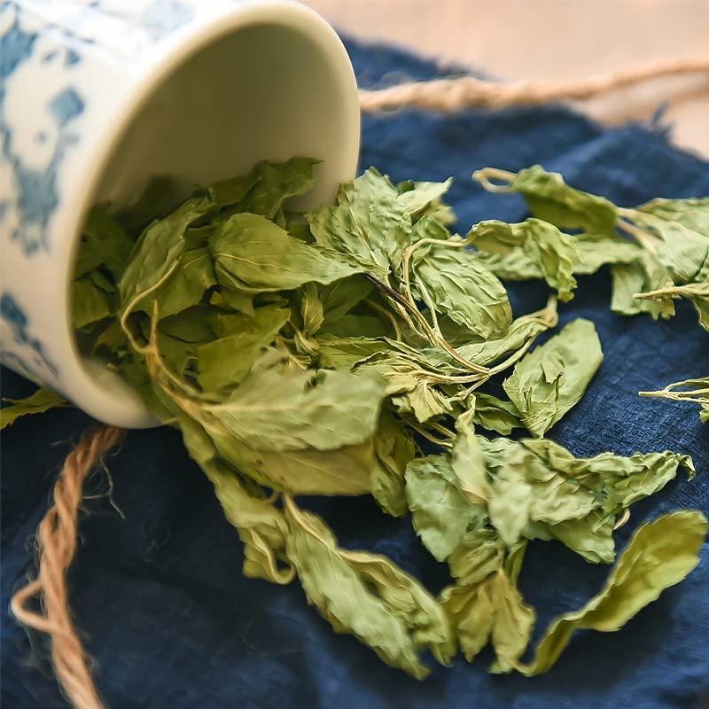 Plant Gift 100% Dried Peppermint Leaves 20G/0.7oz | Premium Dried Crushed Mint Leaves | 100% Natural Mint Leaf | Mint Tea Loose Leaf