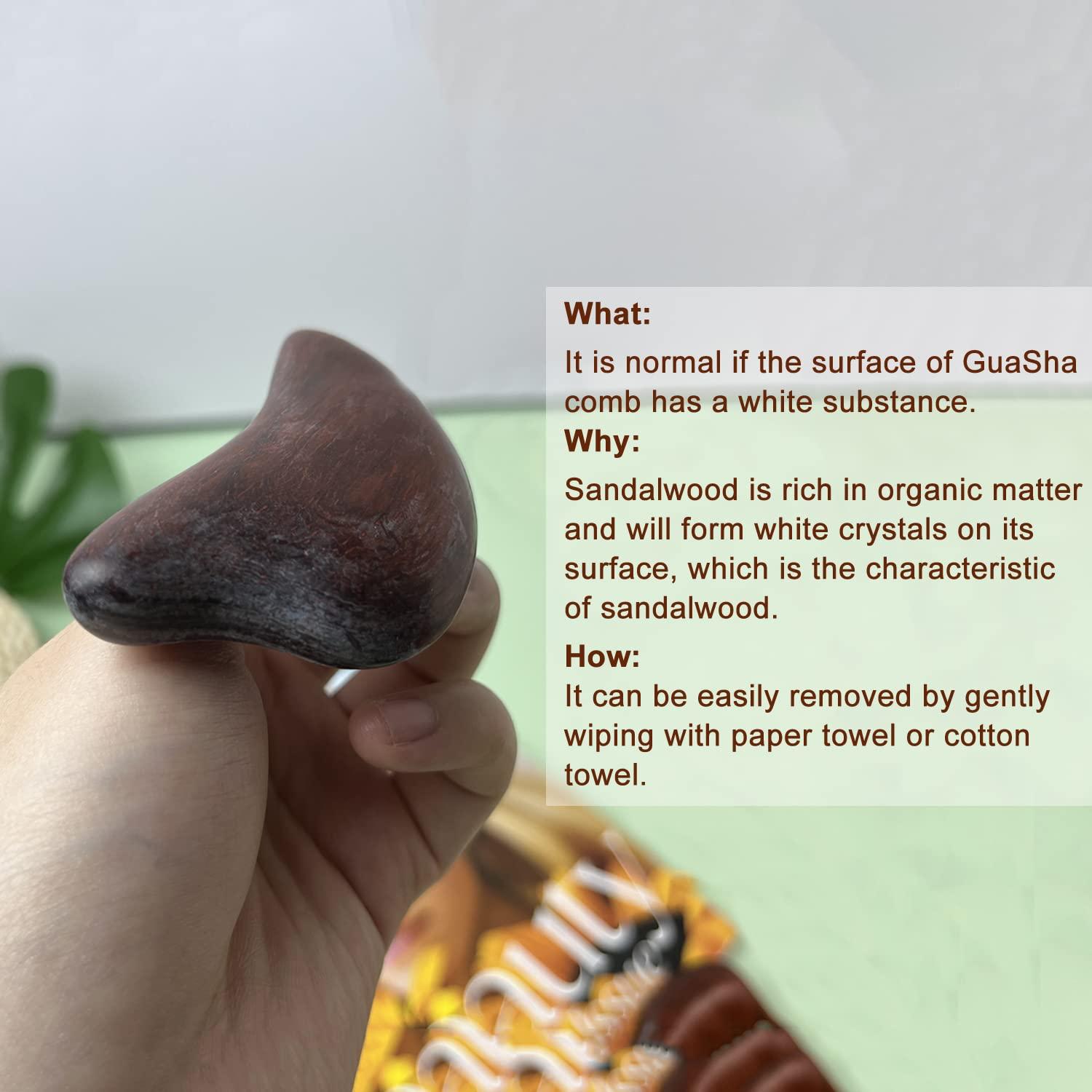 MEDca Hearing Aid Domes - Universal Domes for Hearing Aids - Sizes Small, Medium, Large & X-Large Earbud Replacements and BTE Hearing Sound Amplifiers, 2 Pack