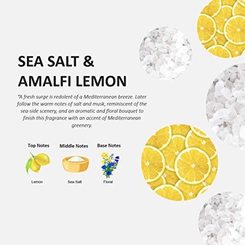 Fruits & Passion Fruits & Passion Cucina Dish Detergent Refill Sea Salt and Amalfi Lemon, 33.8 oz