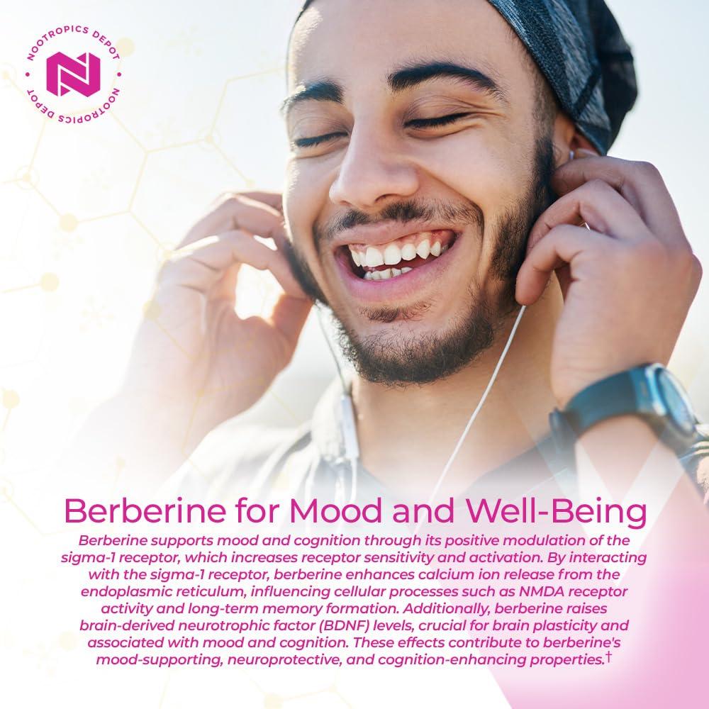 Nootropics Depot Nootropics Depot Berberine HCL + Silymarin Tablets | 500mg + 90mg | 180 Count | Supports Cellular Function, Metabolic Function, and Balanced Inflammation Levels