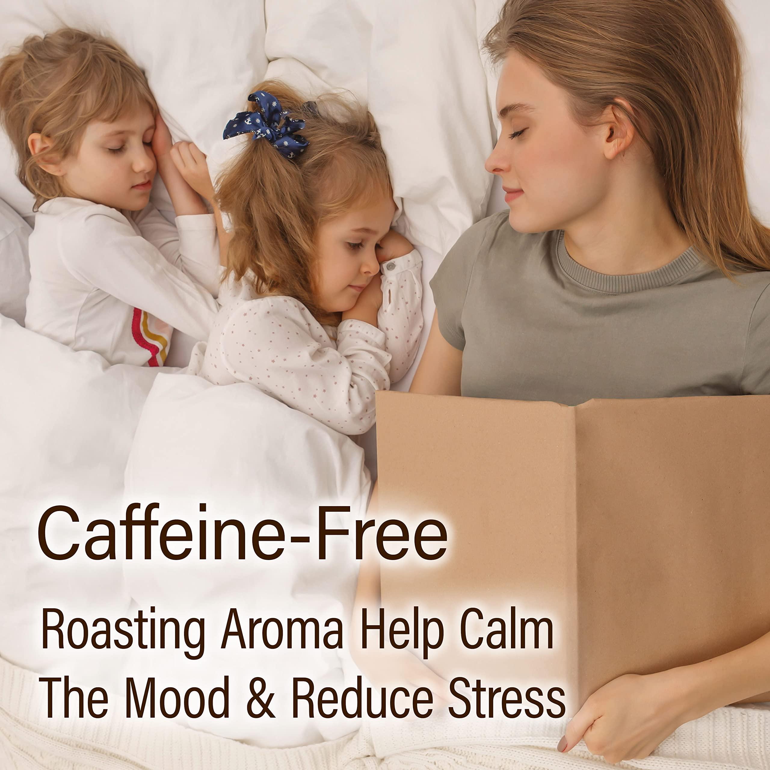 YAMASAN KYOTO UJI Organic Barley Tea Bags -Caffeine Free & Vegan, 100% Natural Japanese Tea, Sugar Free Mugicha 30 LARGE TEA BAGSYAMASAN