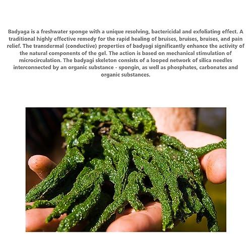 DUOSHOP Gel \"Badyaga Forte\" Ointment from Edema, for Bruises, Hematom, Acceleration of Healing, from Pigment and Stagnant Spots, Bodyaga Skin Cream, Mask for Bruises, Gel Against Bruises, 75 ml