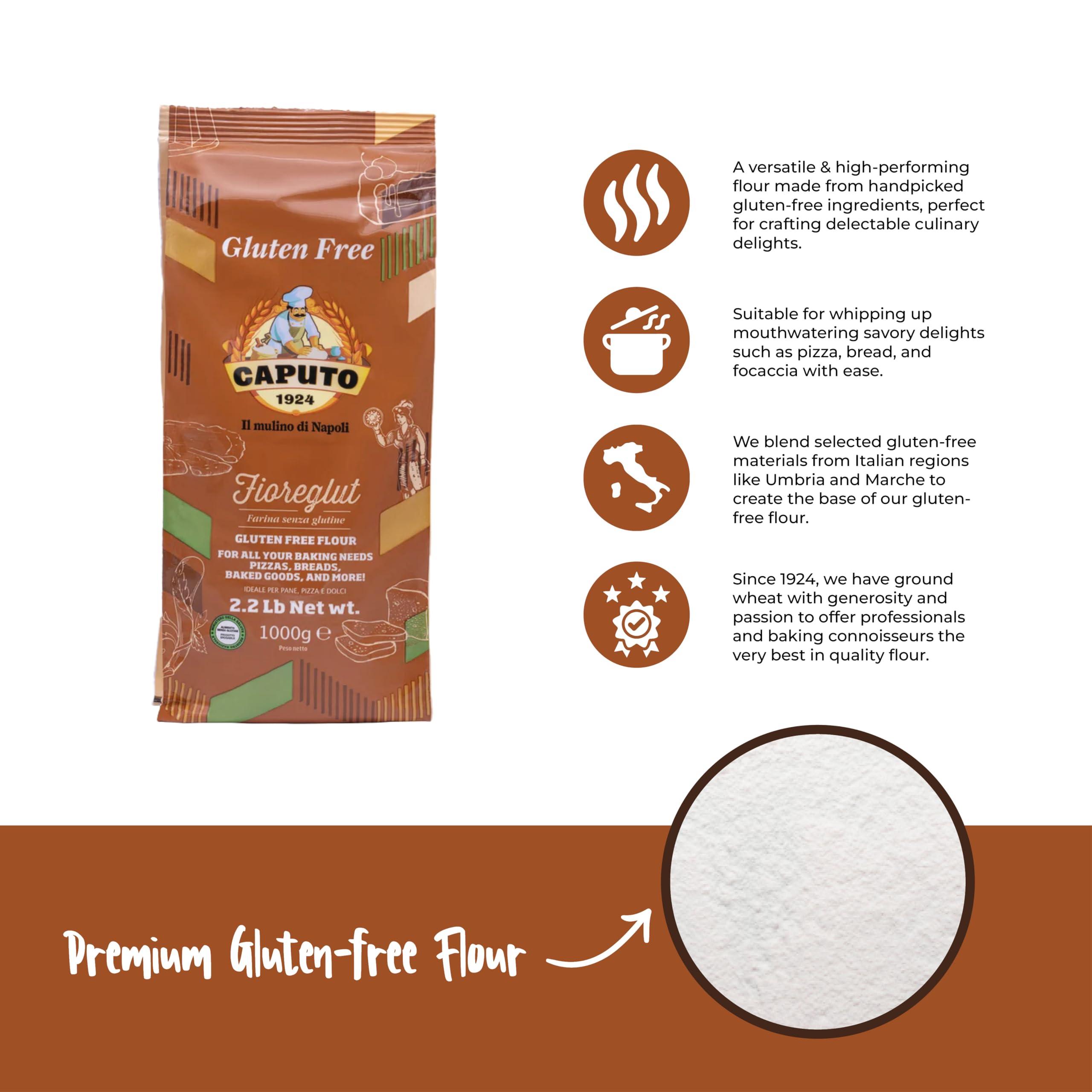 Antimo Caputo Antico Molino Napoli Antimo Caputo Pizza Flour, Gluten Free, 2.2 Pound (Pack of 4)