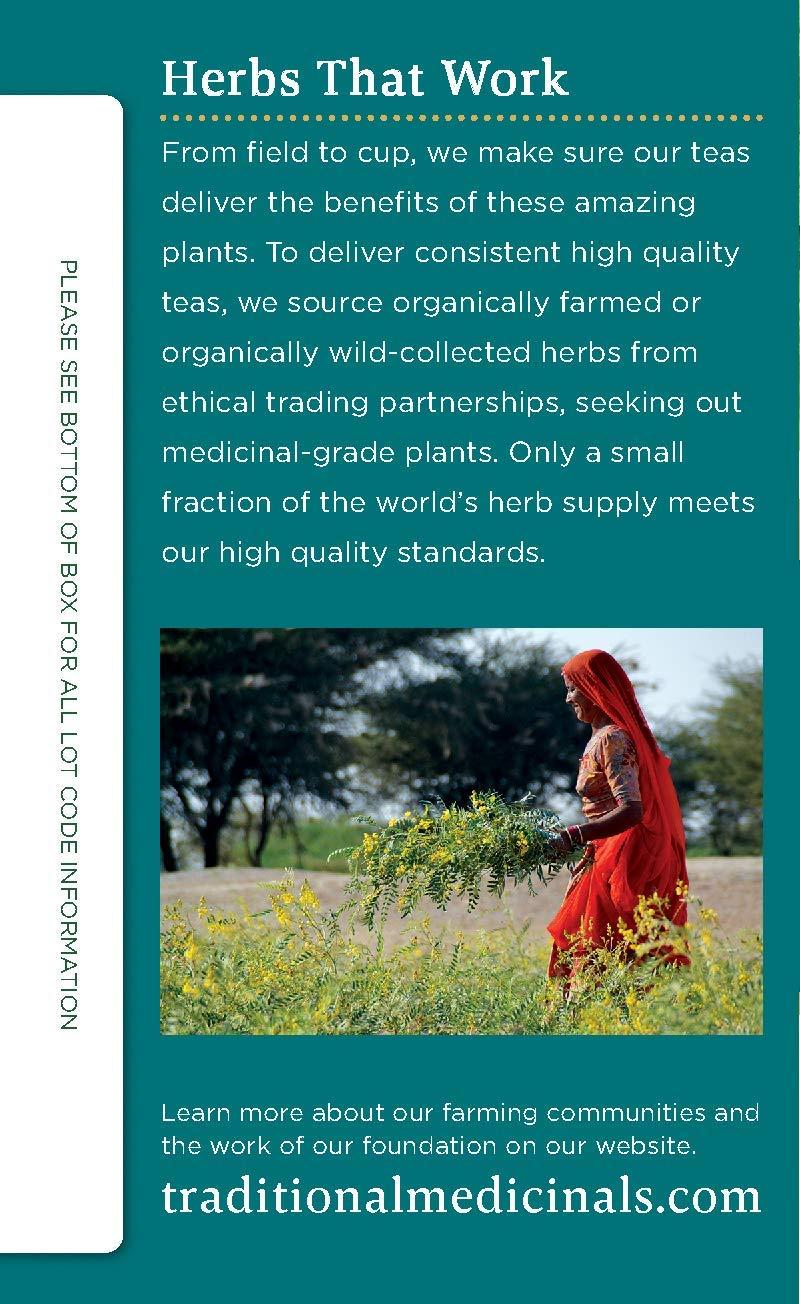 Traditional Medicinals Traditional Medicinals Organic Peppermint Delight Probiotic Tea Supports Healthy Digestion (16 Count (Pack of 6))