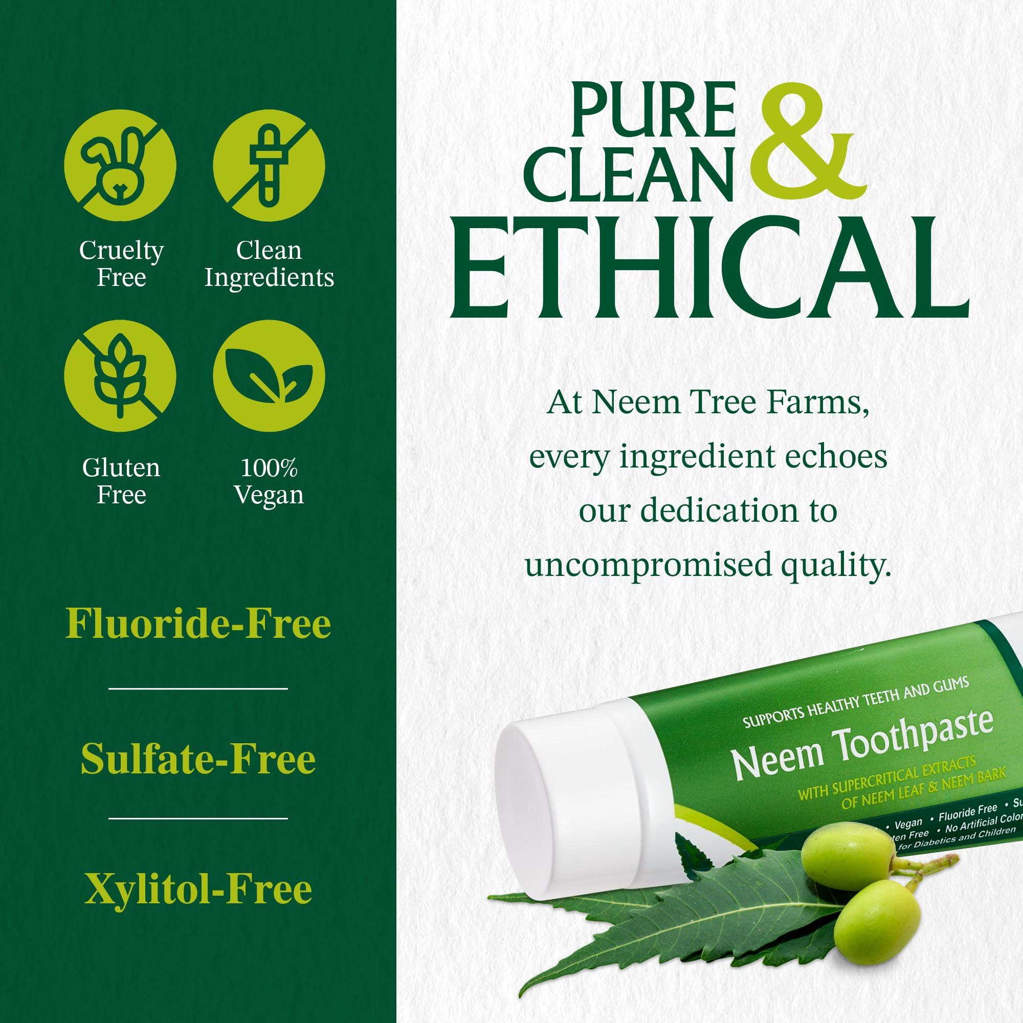 Neem Tree Farms Neem Toothpaste - Fluoride Free Toothpaste Adult, Children & Diabetic Friendly - 100% Vegan Natural Toothpaste Fluoride Free, Gluten Free, No Artificial Ingredients - with Clove & Stevia (2 pk)