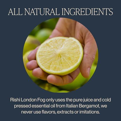 Rishi Tea Rishi Tea London Fog Latte, Organic Black Tea Concentrate with Bergamot, Easy-to-Serve Hot or Iced Earl Grey Tea Mix - 32 fl oz Carton, 8 Servings (Pack of 3)