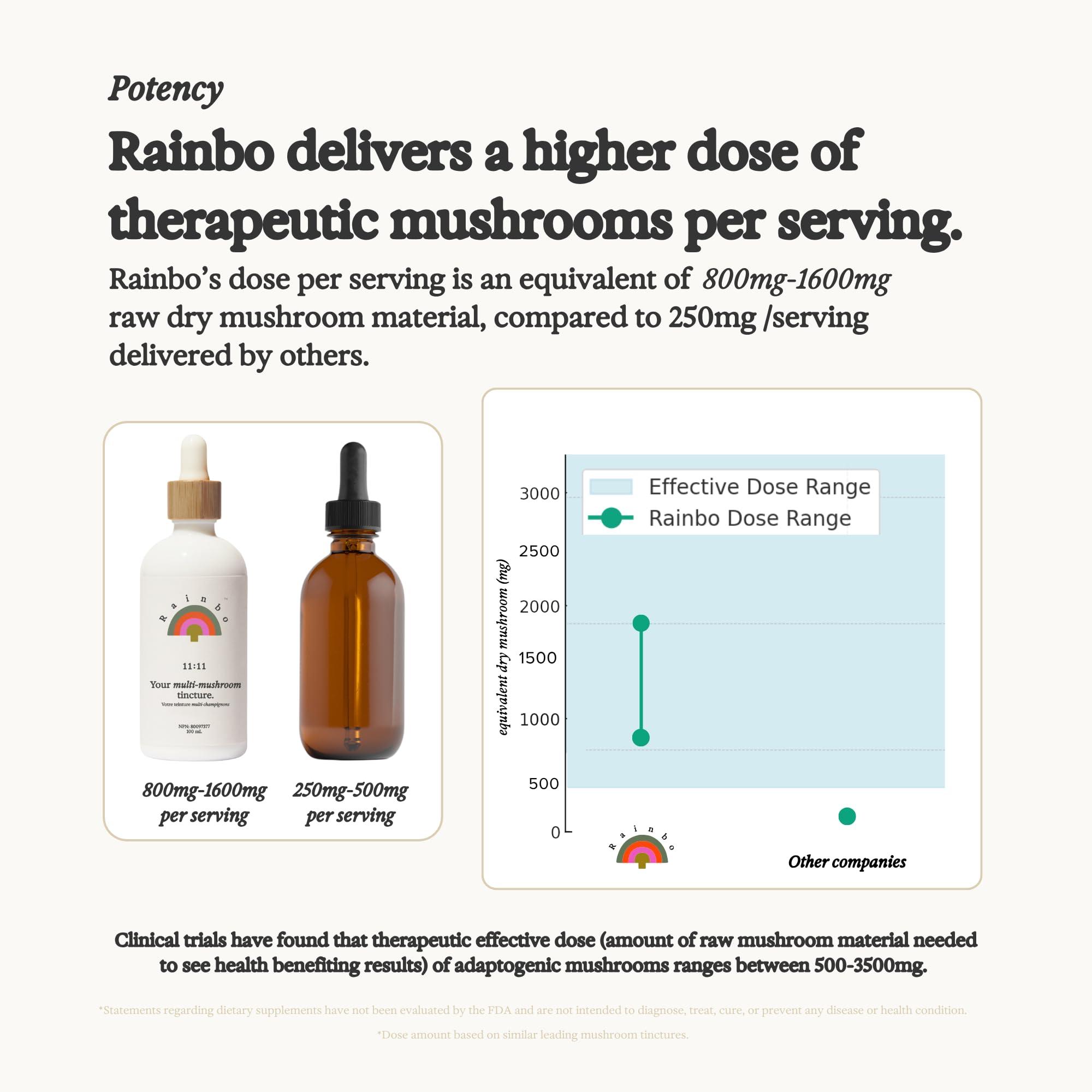 Rainbo Rainbo 11:11 Multi Mushroom Tincture, Dual Extract Mushroom Supplement for Comprehensive Immune Support, Brain Support, Liquid Lion's Mane & Turkey Tail, Vegan, Non GMO, 3.4 fl oz