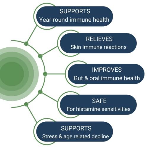 Healthy Gut, LLC Healthy Gut HoloImmune | Paraprobiotic with Immuse Immune Support | 30 Servings