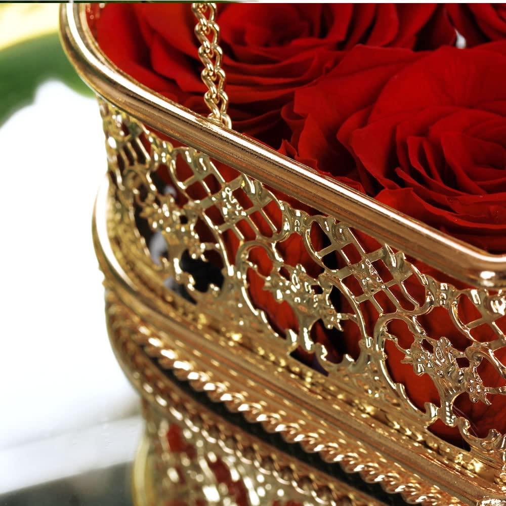 Mayorga Mayorga Medium Roast Whole Bean Coffee, 2 lb bag - Mayan Blend Organic Coffee Roast - Direct Trade, Specialty Grade, Non-GMO 100% Arabica Coffee Beans