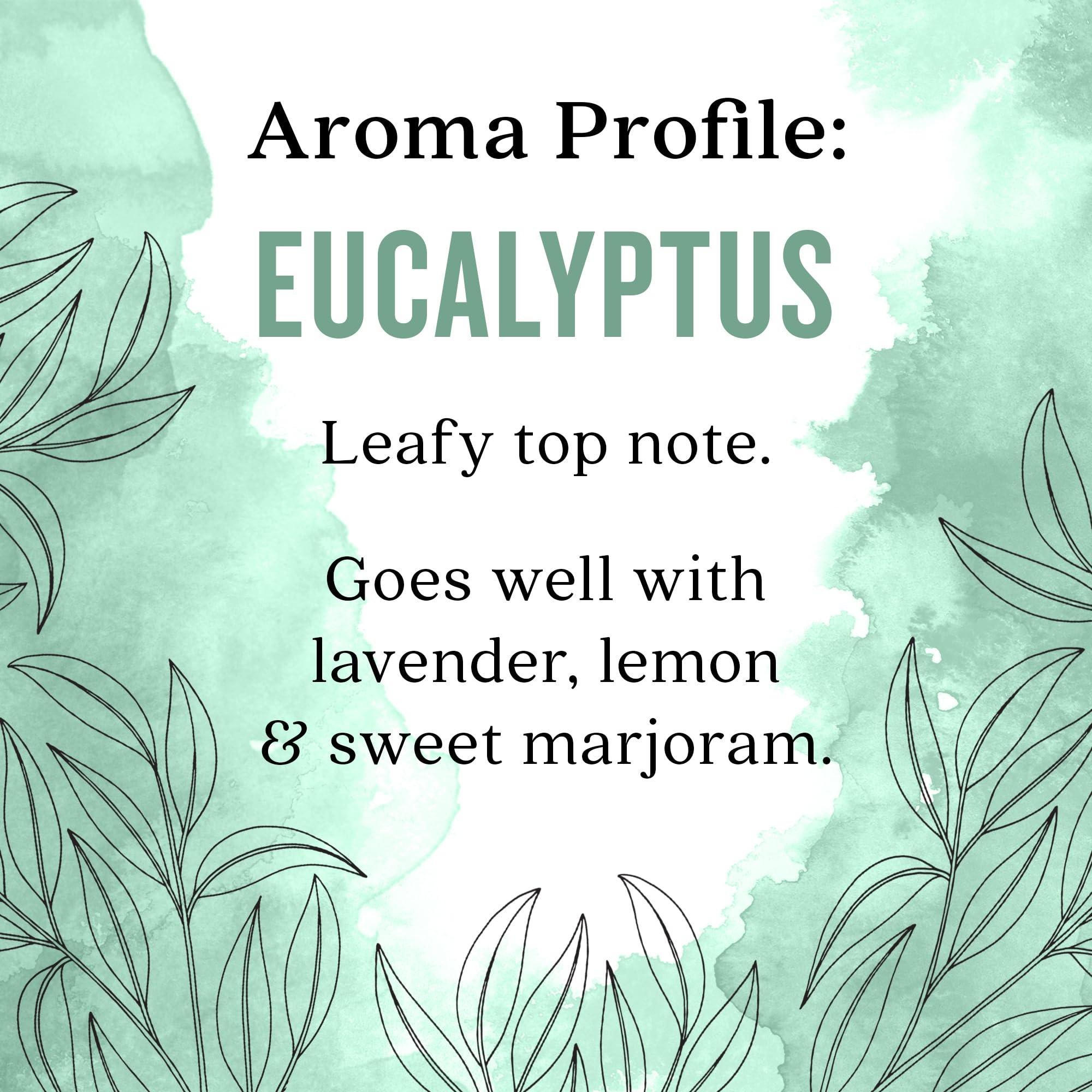 Aura Cacia Aura Cacia Eucalyptus (globulus) Essential Oil 4 fl. oz.