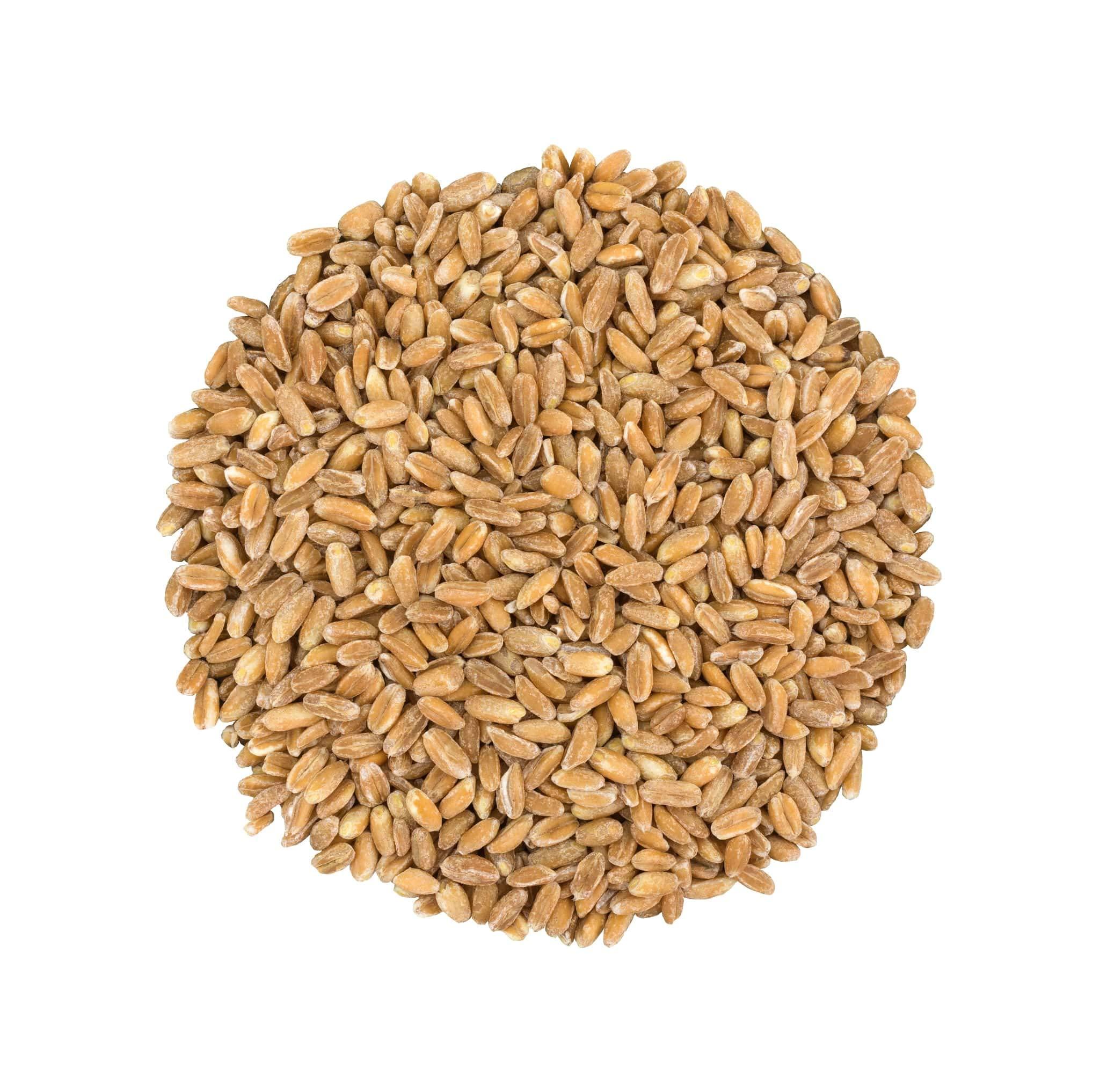 Food to Live Food to Live Pearled Farro Grain, 1 Pound Kosher, Vegan, Whole Grain in Bulk, Good Source of Dietary Fiber, Protein and Iron