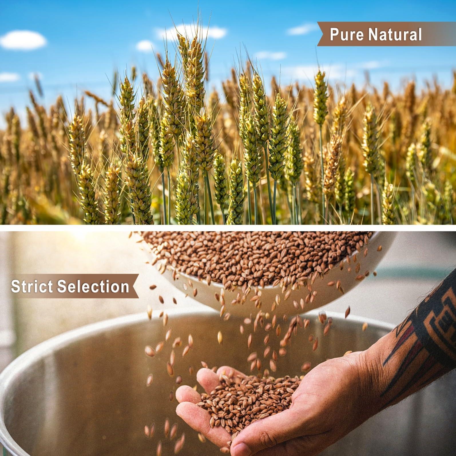 Damman DAMMANN FRERES - Herbal tea - Smokey Lapsang - 24 wrapped crystal envelopped tea bags