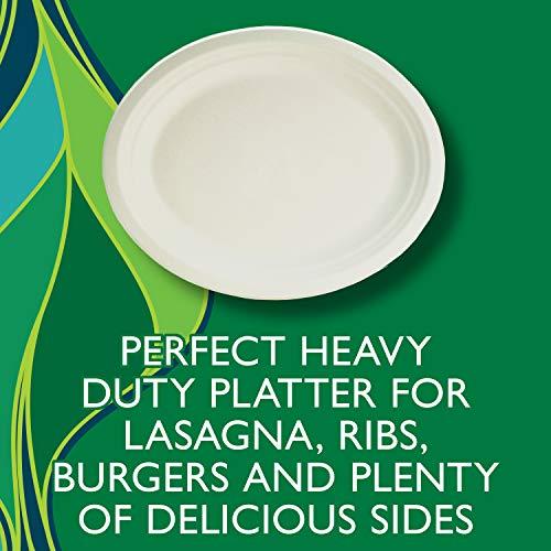 Hefty Hefty EcoSave Disposable Oval Platters, Made from Plant Based Materials, Heavy Duty & Microwave Safe Large Oval Platter Paper Plates, 10 CT (Pack of 4)