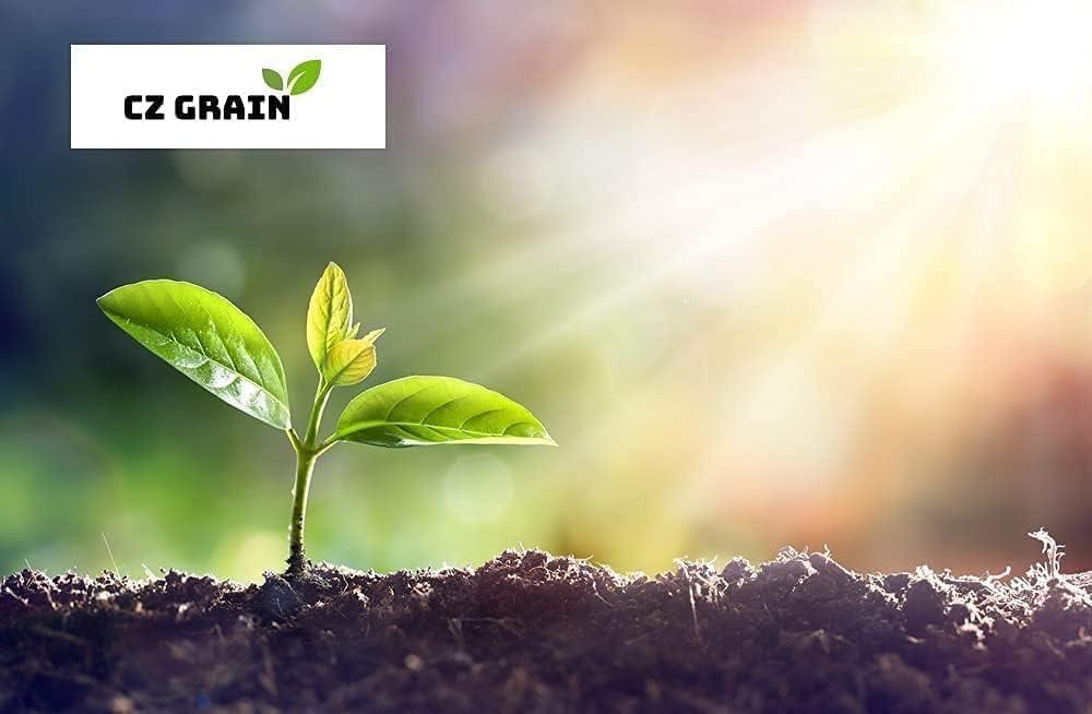 CZ Grain Yellow Mustard Seeds for Planting - Grow Mustard Herb Plants (10 Pounds)