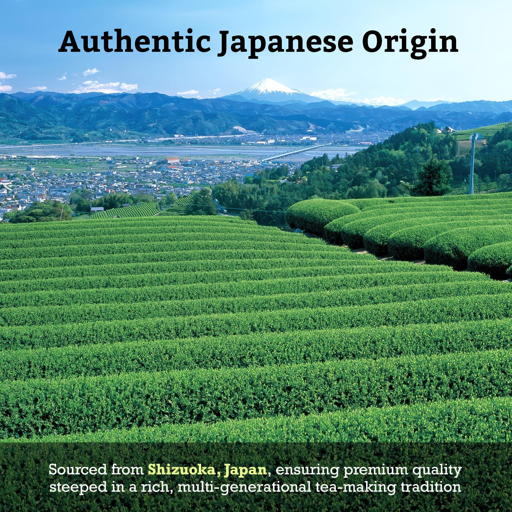 Sugimoto Tea SUGIMOTO TEA Japanese Sencha Green Tea Leaf Bulk 1.0 lb (454 g) Pack of 1