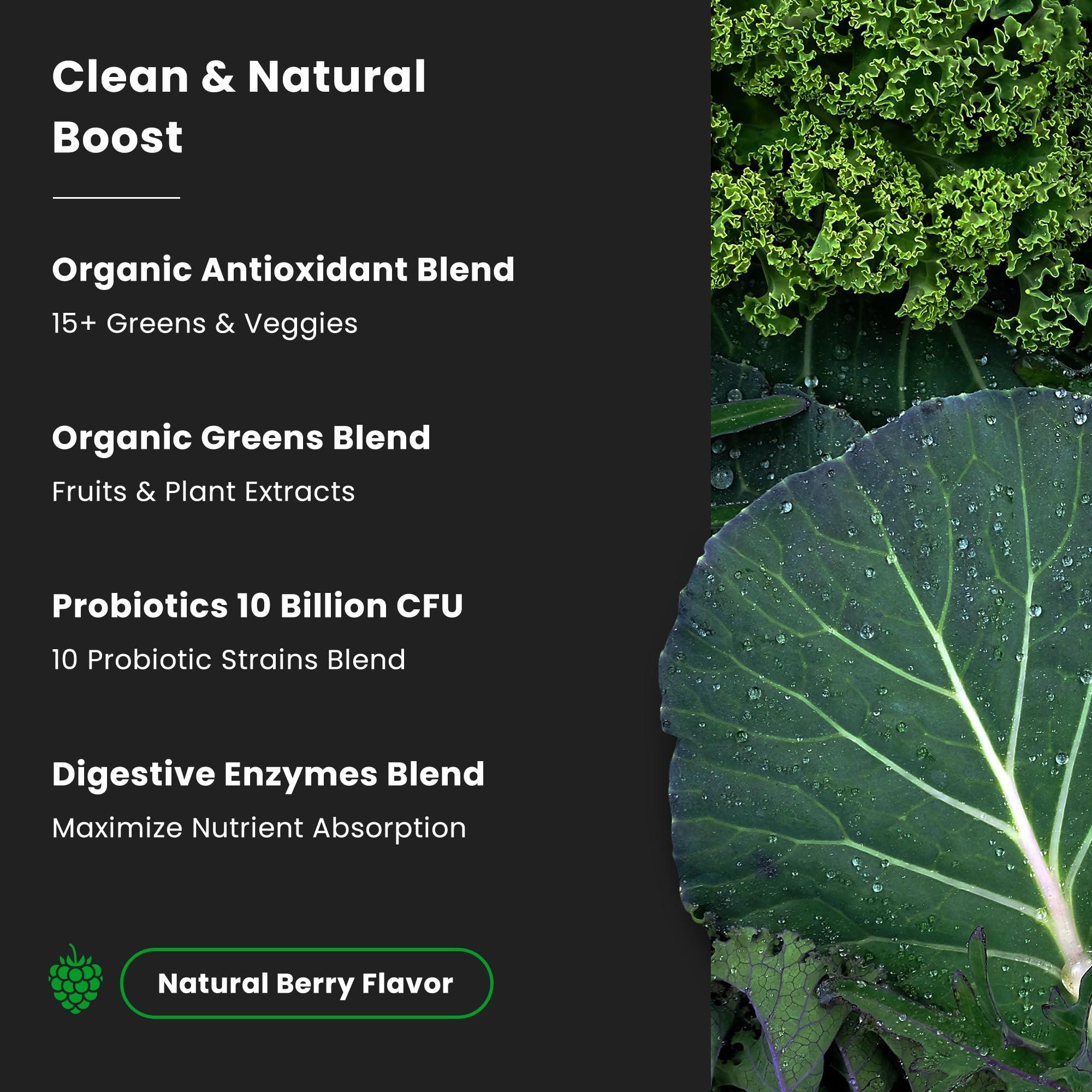 NutraChamps NutraChamps Super Greens Powder Premium Superfood | 20+ Organic Green Veggie Whole Foods | Wheat Grass, Spirulina, Chlorella | Antioxidant, Digestive Enzyme & Probiotic Blends (9.0 Oz, Berry)