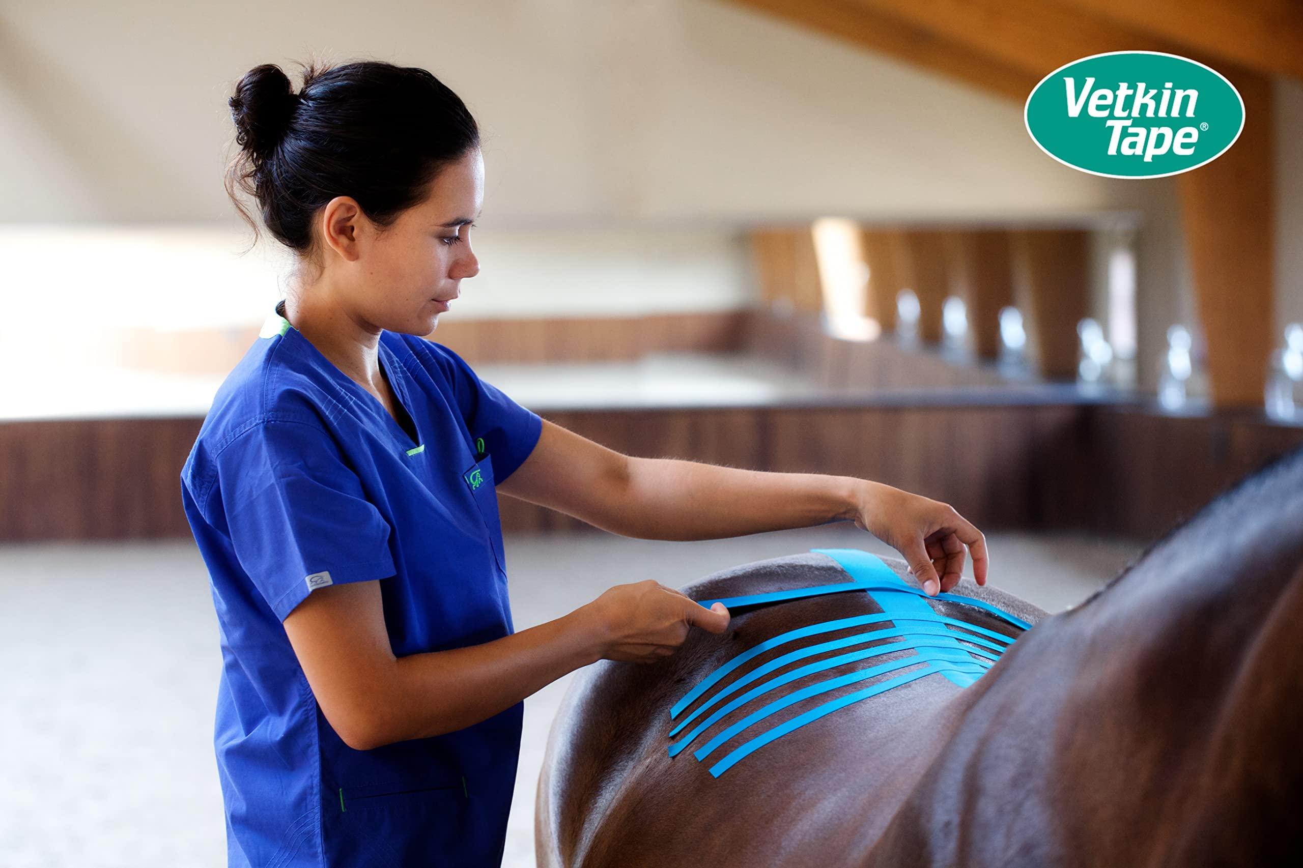 VETKIN VetkinTape Veterinary Kinesiology Tape Blue | kinesiology Tape For Horses & Dogs | Equine & Canine Kinesiotape | Latex Free and TV Quality Mark Certified Ktape | 4 inch | Pack of 1 Roll