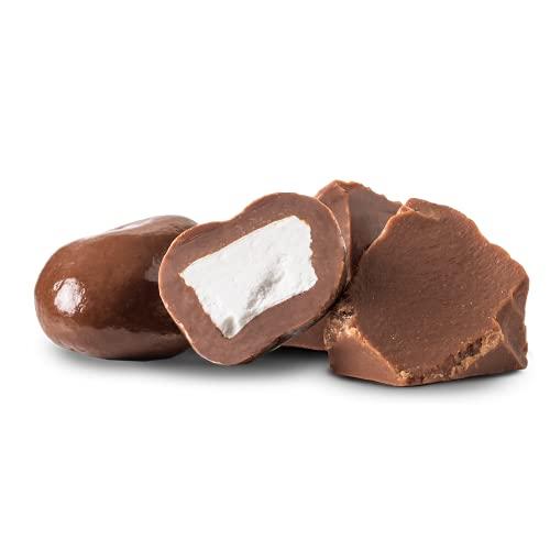 Tru Fru Tru Fru Real Coconut Melts Hyper-Dried Fresh in Milk Chocolate, 4.2 Ounce Bag