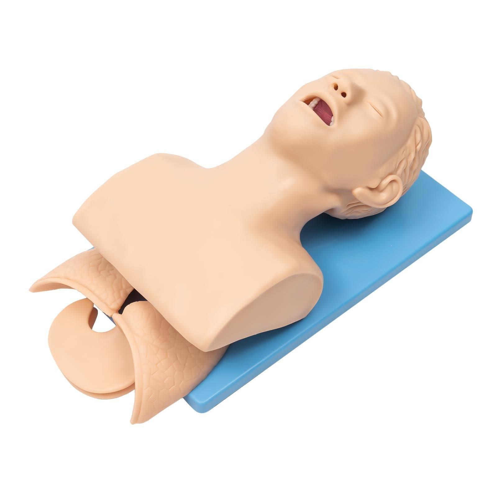 JINGEDD JINGEDD Intubation Trainer Manikin Teaching Model,Adult Intubation Manikin Kit Airway Management Intubation Tracheal Manikin Oral Nasal Intubation Training Airway Trainer Simulator Model