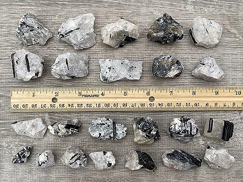 GAF TREASURES WHOLESALE Raw Black Tourmaline with Quartz Crystals, Natural Black Tourmaline with Quartz Stone, Rough Black Tourmaline Quartz, Healing Crystals (Black Tourmaline with Quartz, 0.5 Pound)
