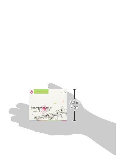 Teaposy Teaposy Medley (Variety of 6 Jasmine Scented Silver Needle White Blooming Teas with Herbal Flowers)