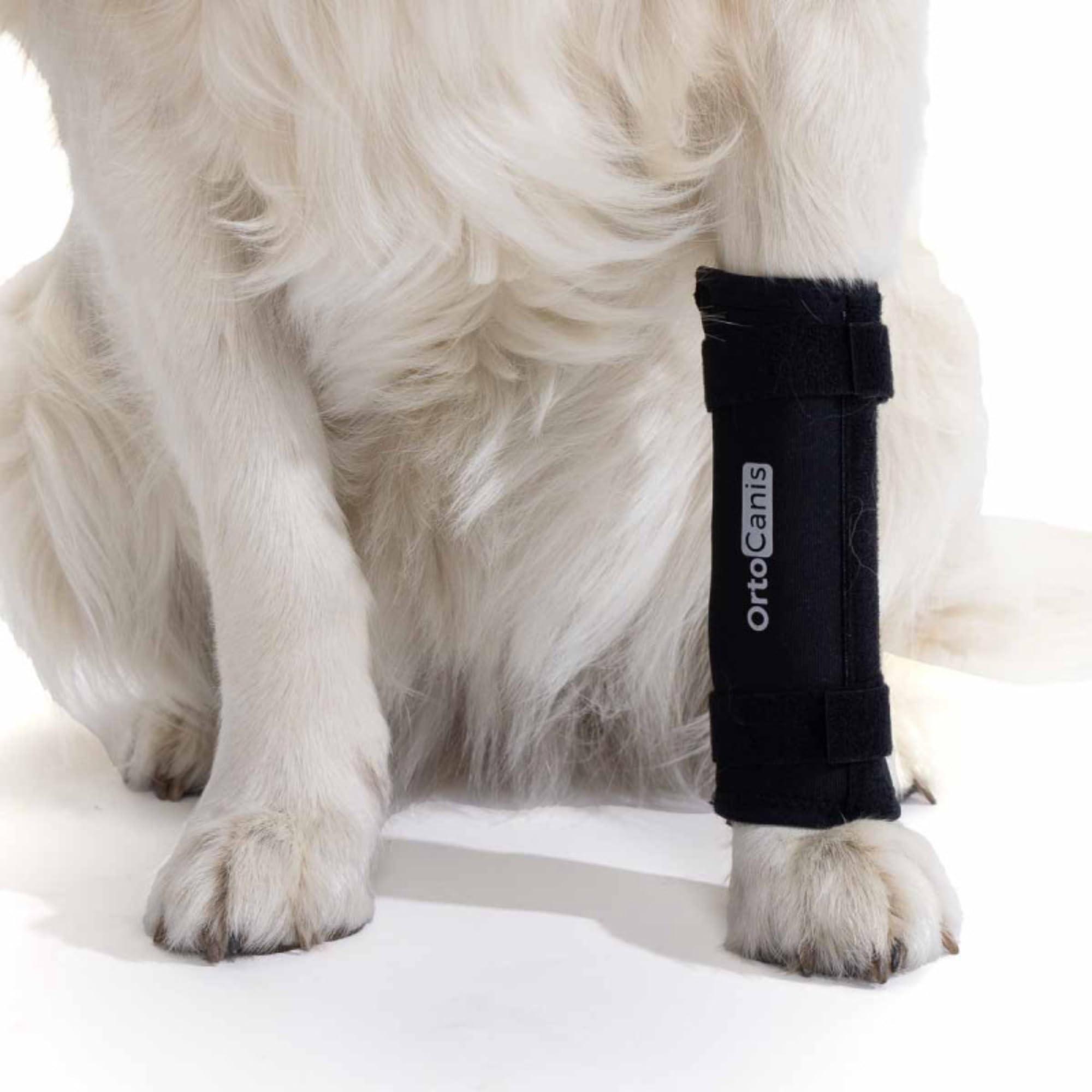 Ortocanis Ortocanis - Carpal Support for Dogs with Arthrosis, Ligament Injuries or Unstable Carpus, Size XL