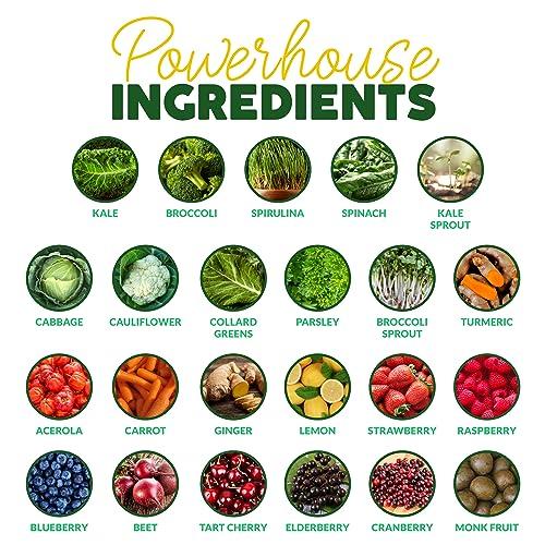 Paleovalley Paleovalley Organic Supergreens Powder - 23 Superfoods with Prebiotic Fiber for Energy and Immunity Support - No Cereal Grasses for Maximum Absorption - Pure Unflavored, 30 Servings