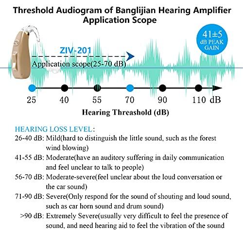 Banglijian Banglijian Hearing Aid Rechargeable Ziv-201 Digital Noise Reduction and Feedback Cancellation Small Size (Two Units)