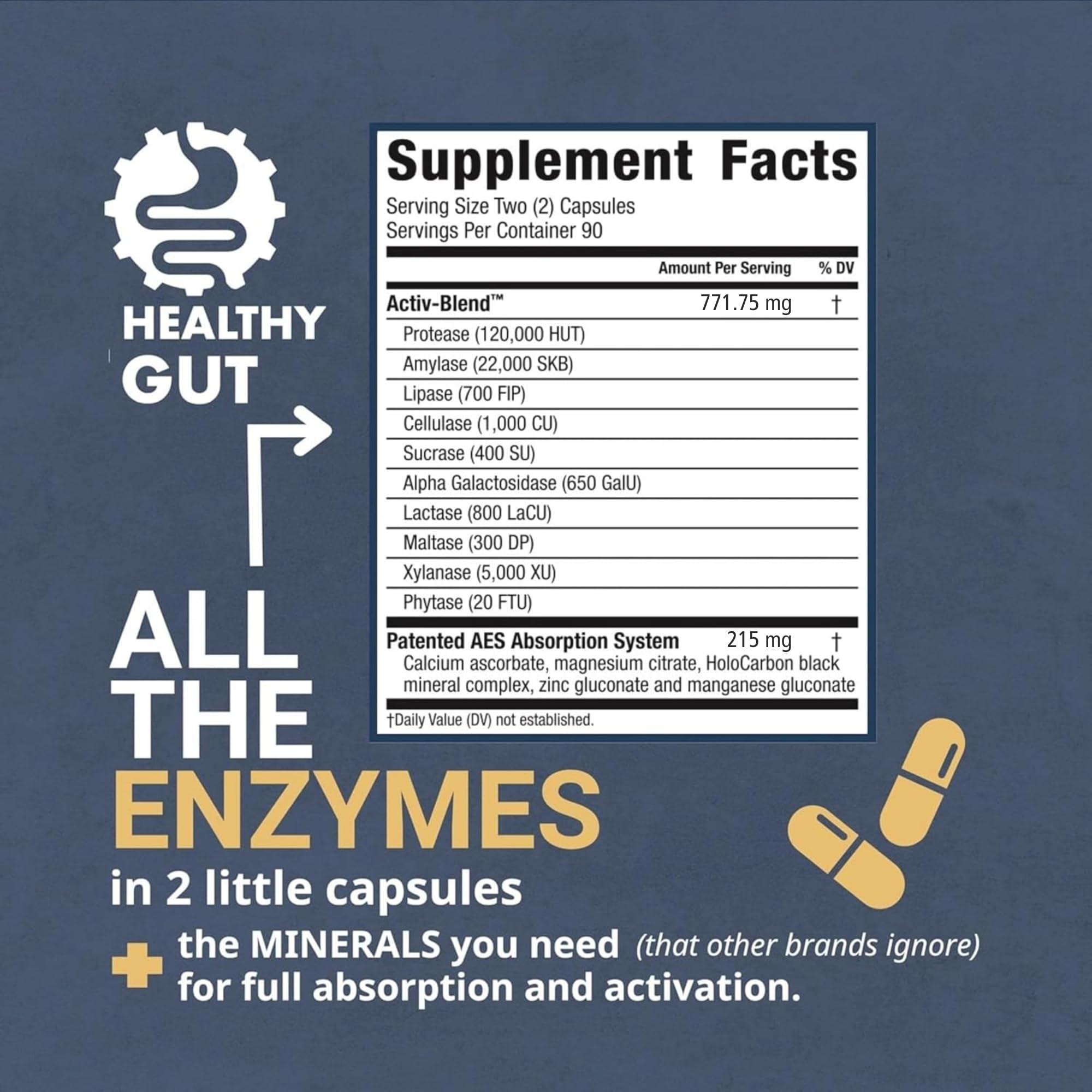 Healthy Gut, LLC Healthy Gut HoloZyme Digestive Enzymes | Enjoy Your Favorite Foods Again | w/Protease, Amylase, Lipase, Lactase, and More | 90 Servings