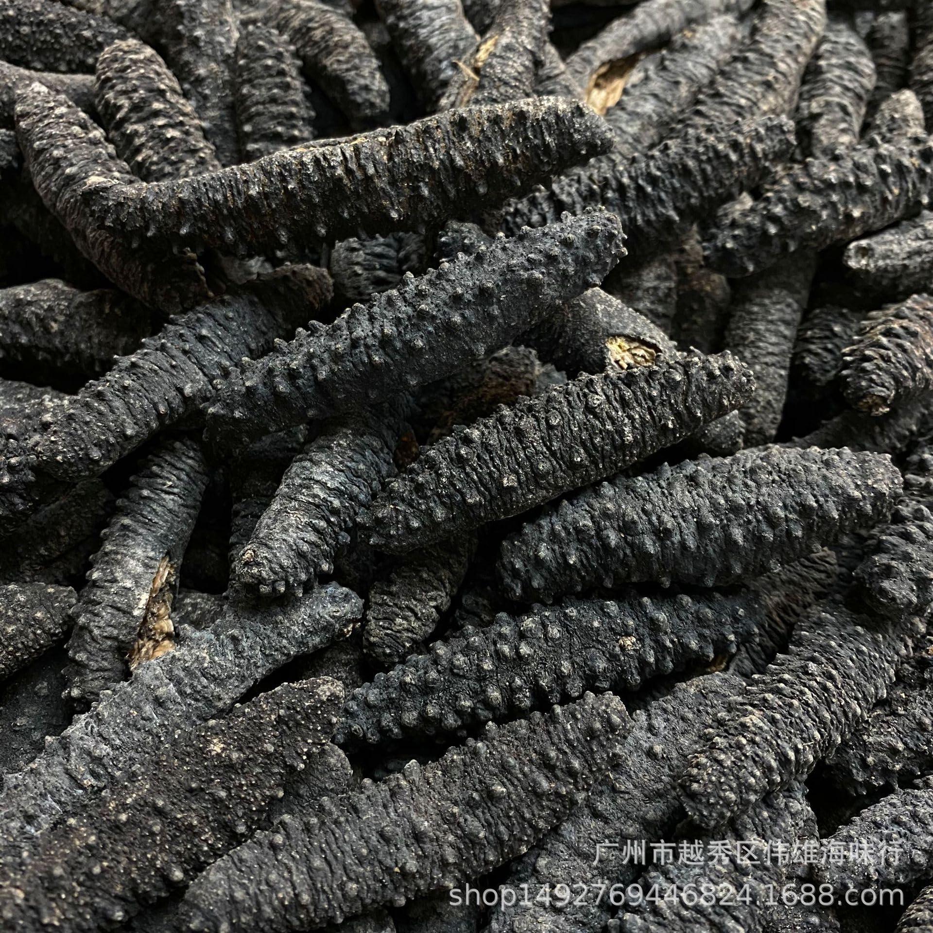 Generic Generic Hose Dryer with Filter Compatible with CPAP and BIPAP Hoses, USB Powered and Nearly Silent. (Include Both AC Adapter and Speed Control/Timer), Black