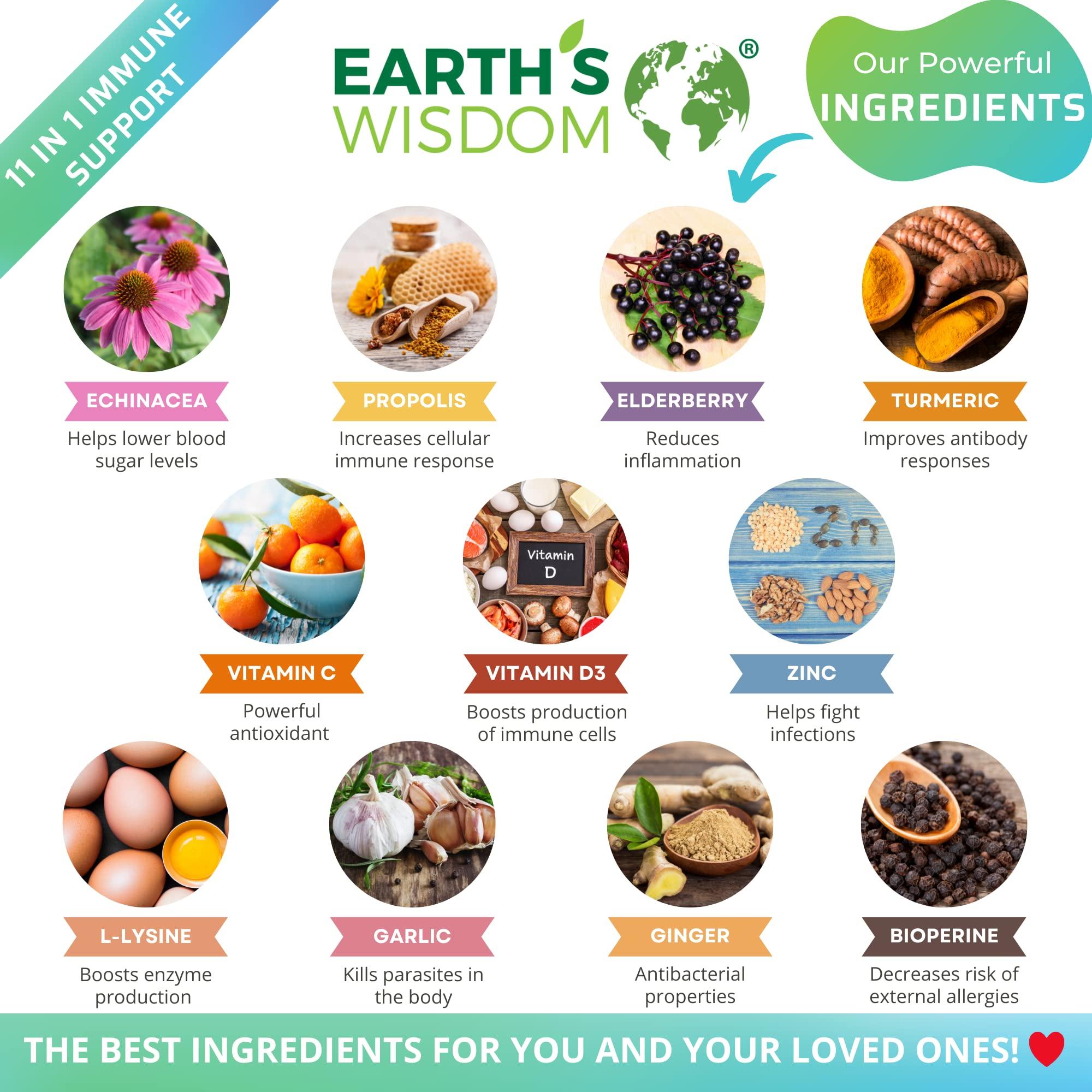 Earth's Wisdom Vitamin D3 5000 IU Vitamin C 1000mg Zinc 50mg - Immune Support Supplement Adults with Elderberry Echinacea Garlic Lysine Turmeric Ginger Propolis Pepper Gluten Free 60 Non-GMO Capsules